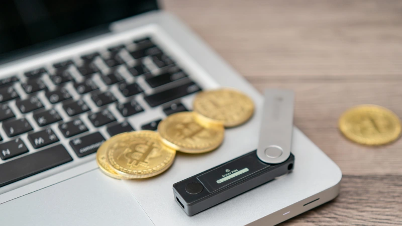 Donanım cüzdanları vs yazılım cüzdanları