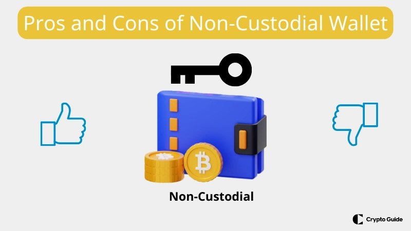 velayetsiz cüzdan artıları ve eksileri velayetsiz-cüzdan-artıları-ve-eksileri