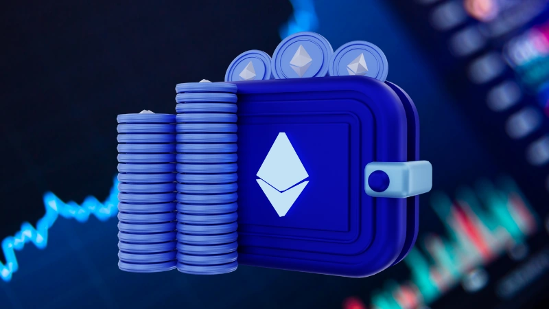 Sıcak cüzdan vs soğuk cüzdan