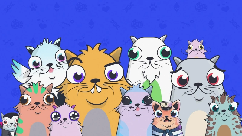 Cryptokitties oyunu Cryptokitties-oyunu